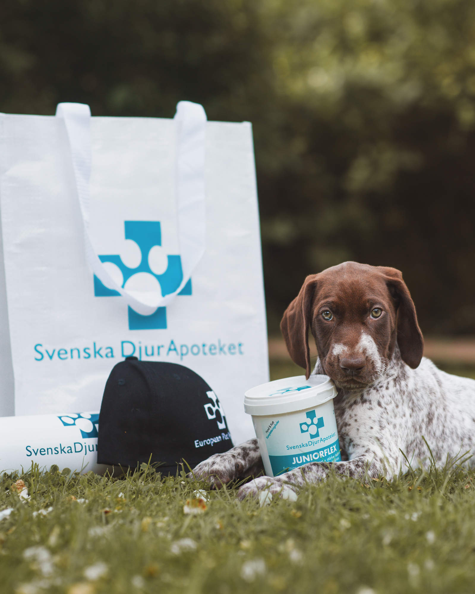 Svenska DjurApoteket - i Norden på kosttillskott för hund 🥇