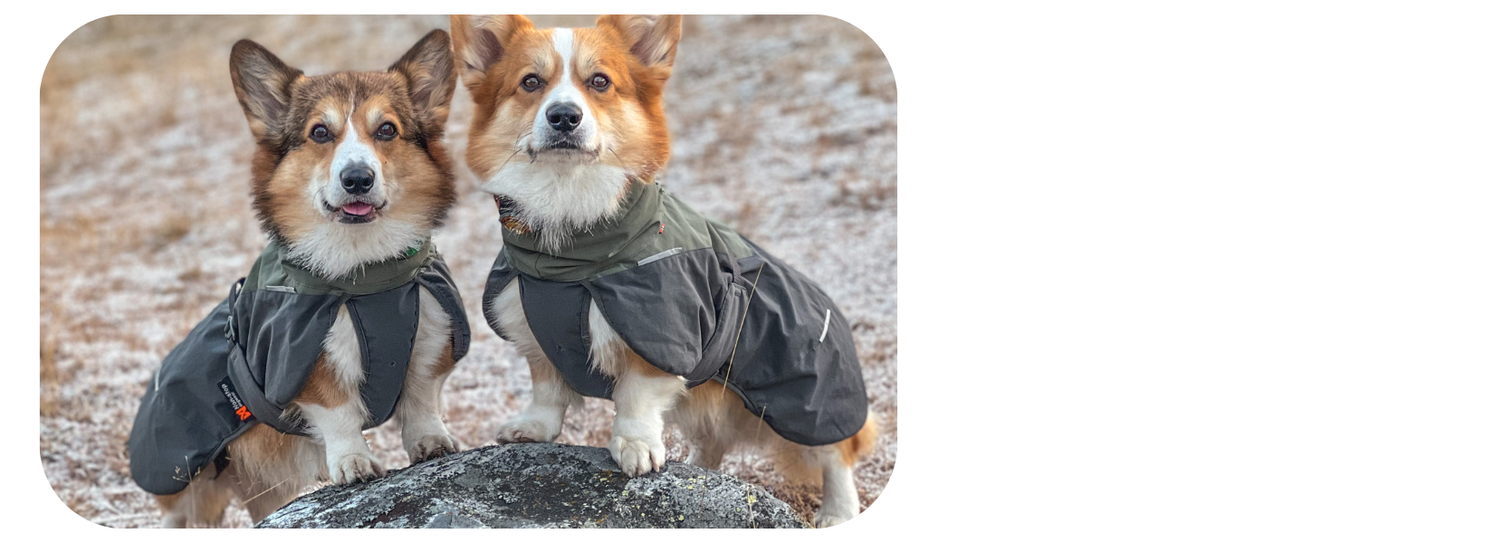 Non-stop täcken är varma och sitter bra på hundens kropp. I kyla och regn kan det vara skönt för hunden att få på sig ett täcke. Non-stop hundtäcke är populära och slitstarka. 